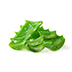Aloe