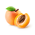 Apricot Kernel Oil