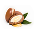 Argan Oil