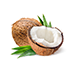 Coconut Milk