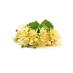 Linden Flower