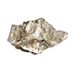 Mica