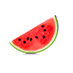Watermelon Seed Oil