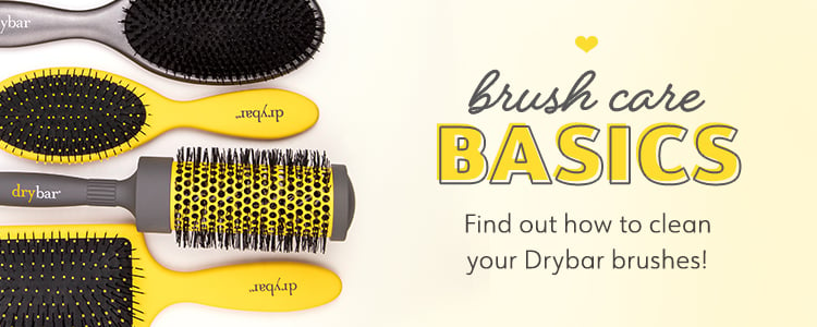 brush care basics